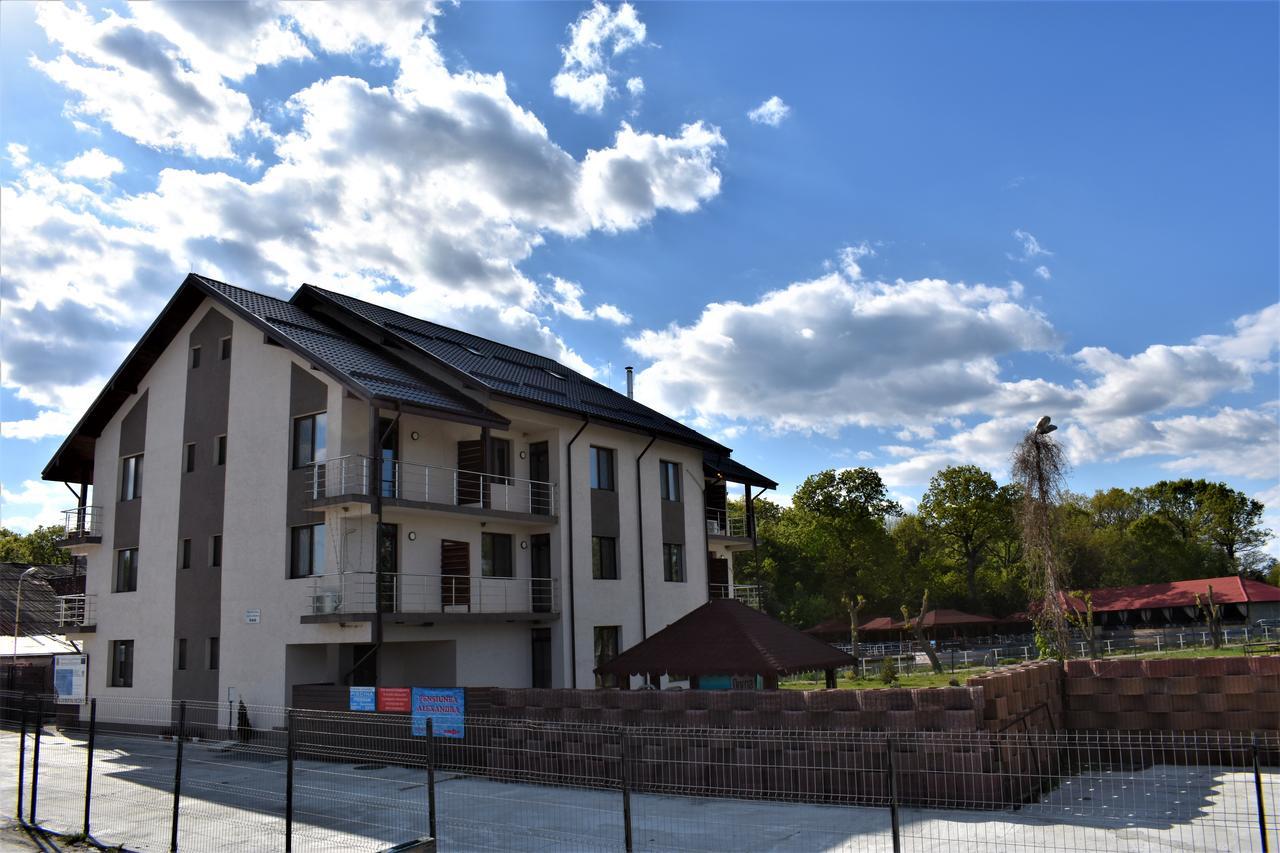 Pensiunea Alexandra Corbii Mari Exterior foto